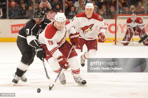 302 Shane Wayne Highly Photos & High Res Pictures - Getty Images