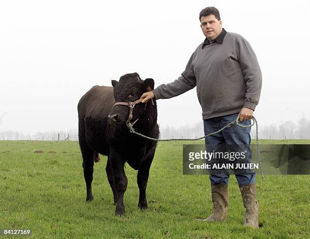 Le wagyu, caviar de viande, venu du Japon, élevé au fin fond de l'Aisne"- Stephane Heyse, a Wagyu breeder, poses with a Wagyu bull, on December 15 in...