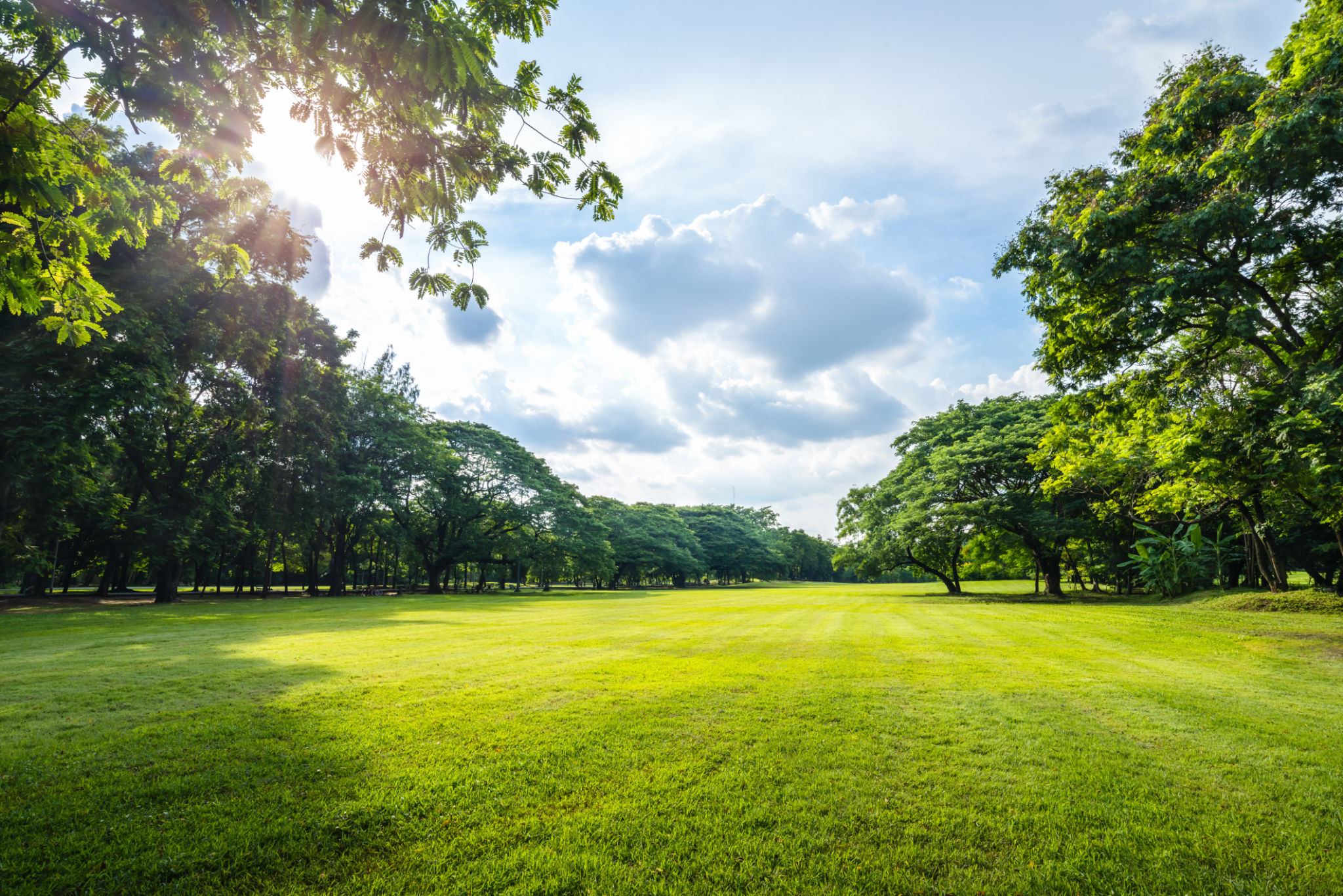 park nature trail