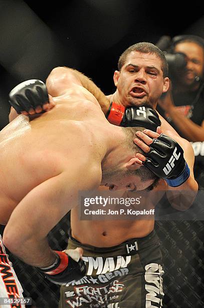 Andy Rese Boxer 957 Reese Andy Stock Photos, High-Res Pictures, and Images - Getty Images
