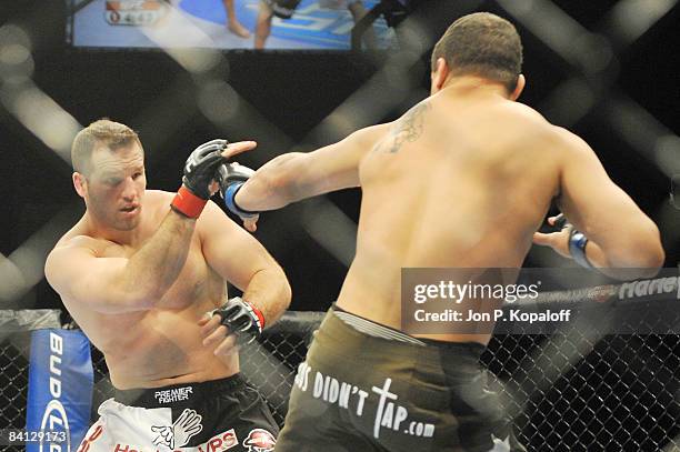 Andy Rese Boxer 965 Andy Reese Stock Photos, High-Res Pictures, and Images - Getty Images