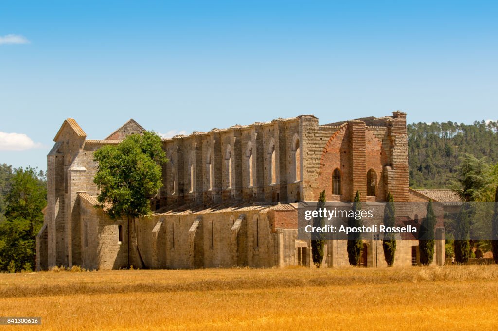 Ruins San Galgano, Tuscany