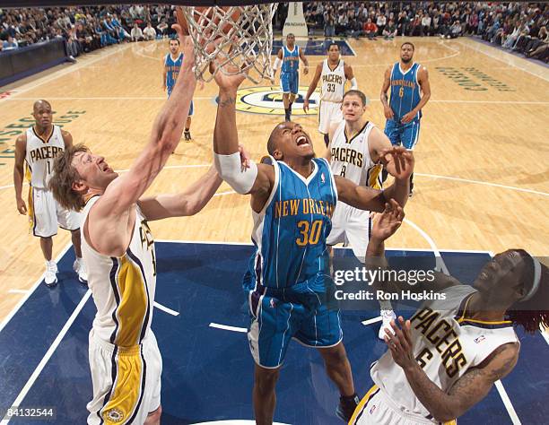David West of the New Orleans Hornets battles Troy Murphy and Marquis Daniels of the Indiana Pacers at Conseco Fieldhouse on December 28, 2008 in...