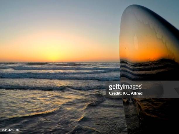 the sunset is reflected in a paddle in the la jolla shores beach area of san diego, california. - la jolla marine reserve stock pictures, royalty-free photos & images