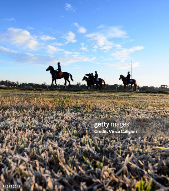 General view of horses during a trackwork session on a cold and frosty first day of Spring at Flemington Racecourse on September 1, 2017 in...