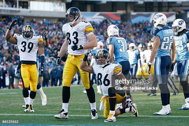 Hines Ward of the Pittsburgh Steelers celebrates on the field during the game against the Tennessee Titans on December 21, 2008 at LP Field in...