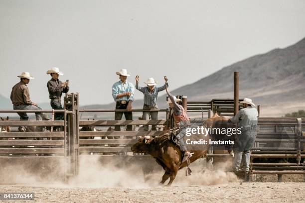 a young cowboy bareback riding on a bucking bull while a group of cowboys watch him in the background. - rodeo background stock pictures, royalty-free photos & images