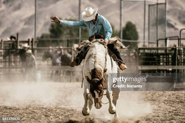 een cowboy rijden op een bucking paard tijdens de wedstrijd van de bronc zadel. - rodeo stockfoto's en -beelden