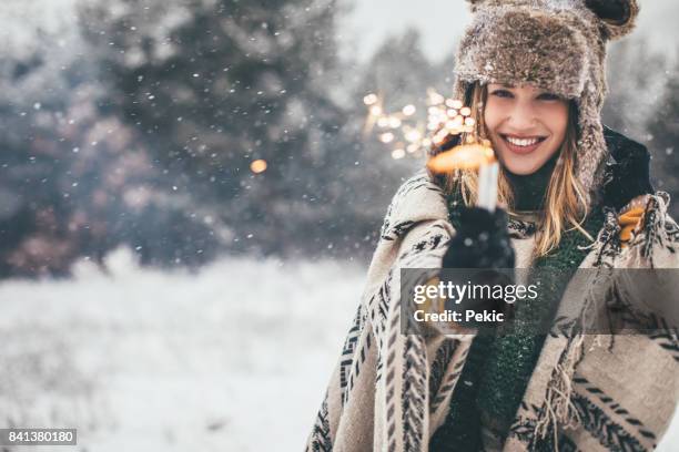 magic of the winter - janeiro imagens e fotografias de stock
