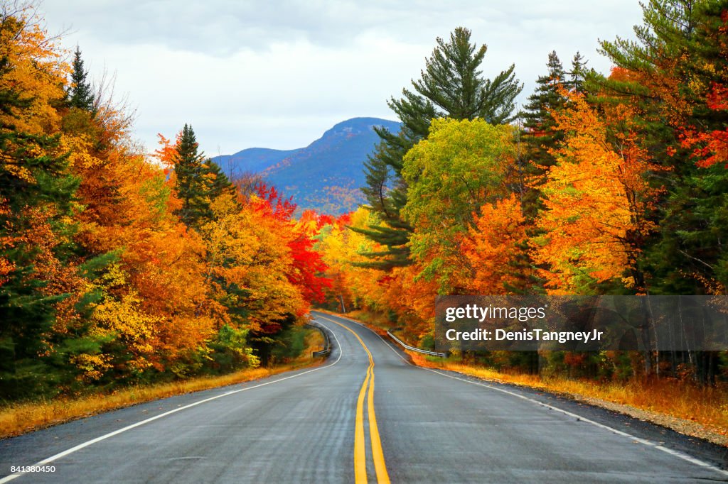 Outono nas Montanhas Brancas de Nova Hampshire