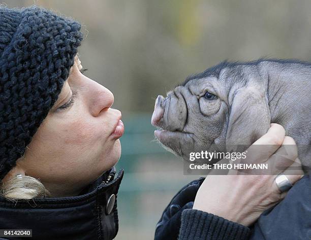 Woman holds a newly-born Chinese Meishan pig walk at the "Tierpark" in Berlin on December 30, 2008.13 young pigs were born on December 28. AFP PHOTO...