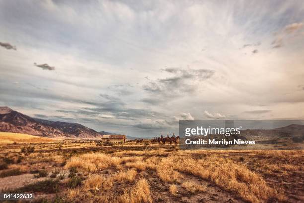 weite landschaft mit reiter - american ranch landscape stock-fotos und bilder