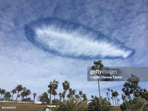 hole punch cloud with palm trees - hole punch stock pictures, royalty-free photos & images