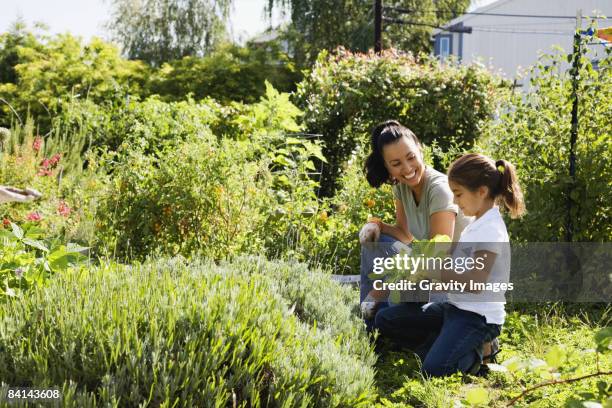 mother and daughter gardening together - 園芸用手袋 ストックフォトと画像