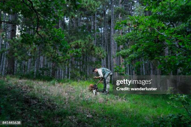 truffle hunting in italy - truffle stock pictures, royalty-free photos & images