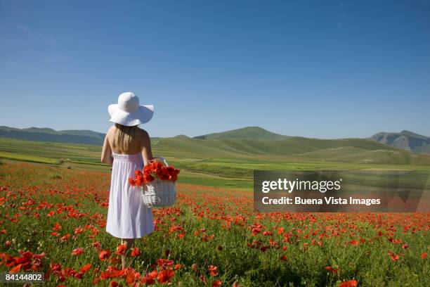 woman in poppies field.  - young woman standing against clear sky stock pictures, royalty-free photos & images