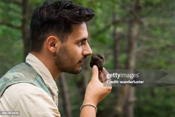 male truffle hunter in 20's smells a newly collected truffle in the woods that his dogs dug up on a summer day, abruzzo, italy, europe - truffle stock pictures, royalty-free photos & images