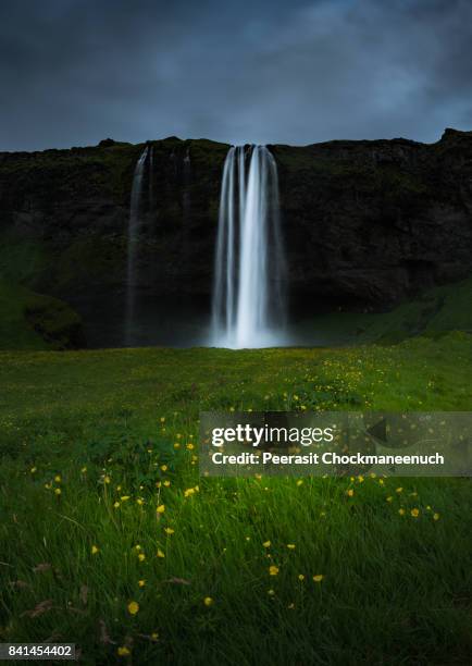 seljalandsfoss in summer , iceland - gloomy swamp stock pictures, royalty-free photos & images