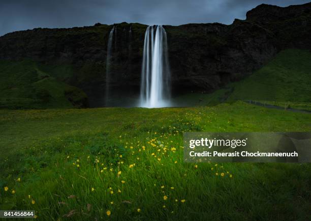 seljalandfoss in summer , iceland - gloomy swamp stock pictures, royalty-free photos & images