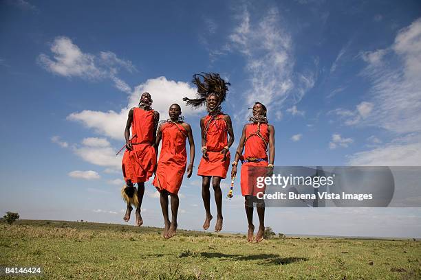 africa. kenia. masai mara national reserve. - masai warrior stockfoto's en -beelden