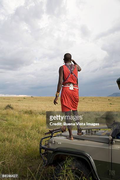 africa. kenia. masai mara national reserve. - africa safari watching stock pictures, royalty-free photos & images