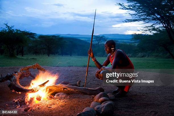 africa. kenia. masai mara national reserve. - masai mara national reserve stock-fotos und bilder