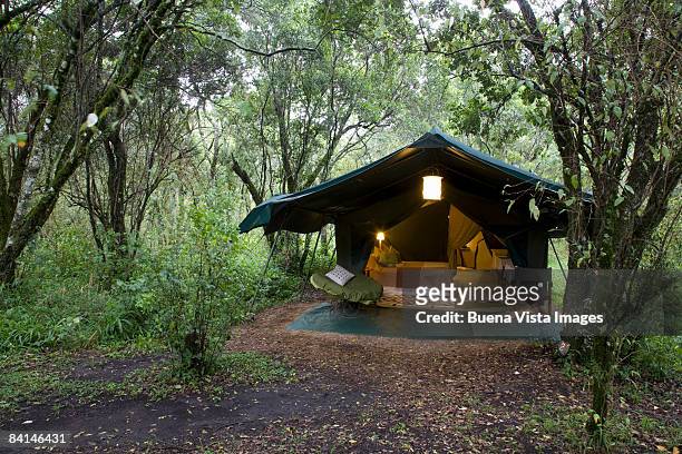 africa. kenia. masai mara national reserve. - camping de lujo fotografías e imágenes de stock