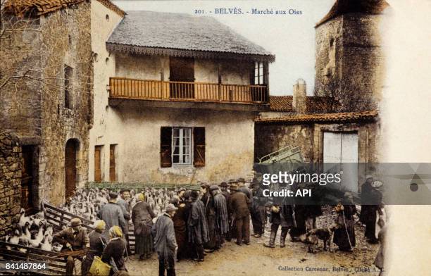 Carte postale illustrée par la photographie du marché aux oies de Belvès, en France.