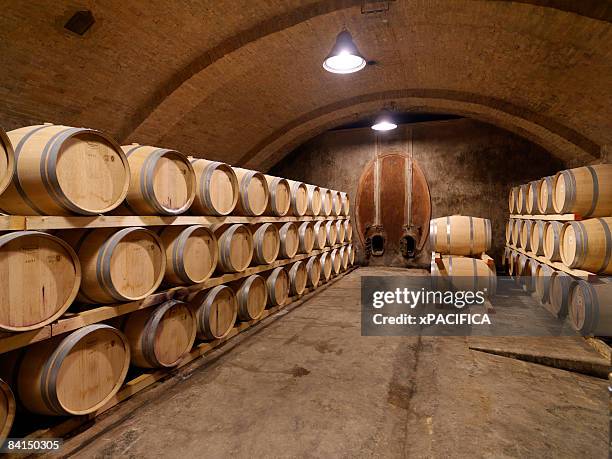 barrels of wine age in an old wine cellar - barrels ストックフォトと画像