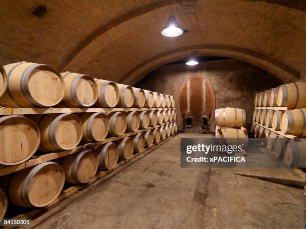 barrels of wine age in an old wine cellar - keg stock pictures, royalty-free photos & images