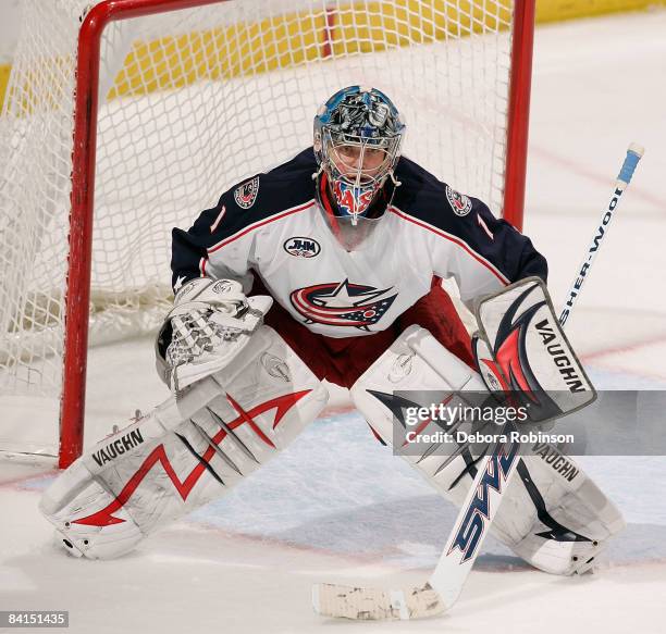 Steve Mason of the Columbus Blue Jackets defends in the net against the Anaheim Ducks during the game on December 31, 2008 at Honda Center in...