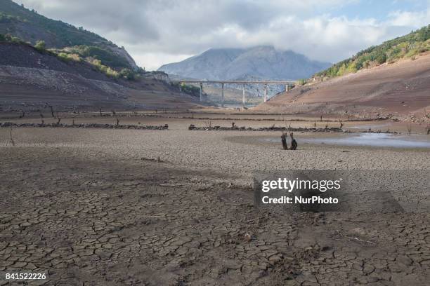 Spain is on its way to its worst drought in 20 years. The marshes hold less than half of the water they can store, with 47.93% of reserves. In Leon,...