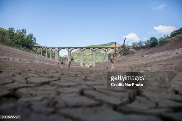 Spain is on its way to its worst drought in 20 years. The marshes hold less than half of the water they can store, with 47.93% of reserves. In Leon,...