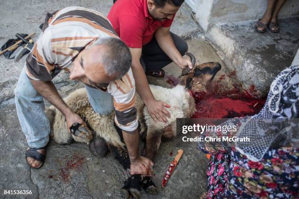 Syrian refugee Husin Lok slaughters a sacrificial sheep with family members at their home during Eid-al-Adha celebrations on September 01, 2017 in...