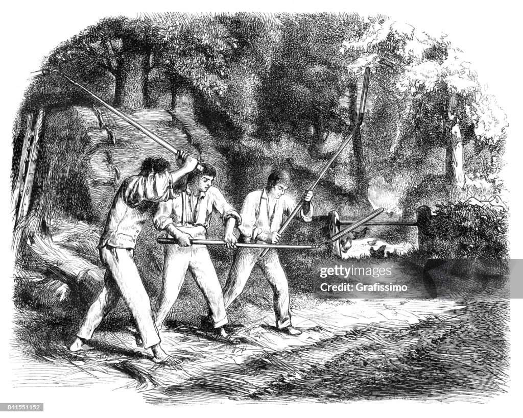 Farmer separating threshing the wheat from the chaff with wooden flail 1859