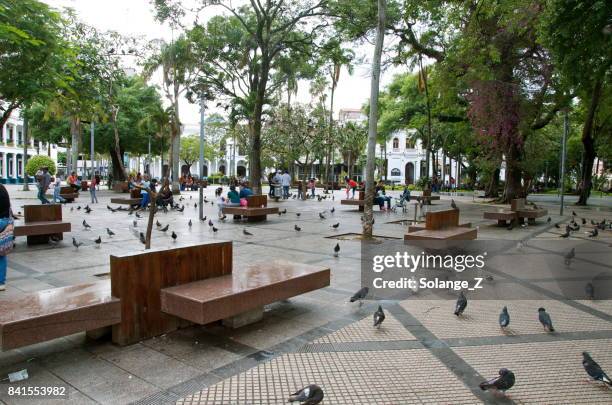 plaza 24 de septiembre in santa cruz de la sierra boliva - santa cruz bolivia stock pictures, royalty-free photos & images