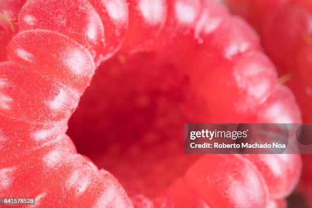 Macro Raspberry 379 Raspberry Macro Stock Photos, High-Res Pictures, and Images - Getty ...