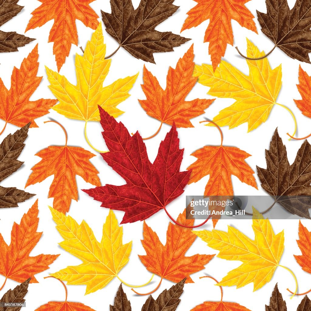 Maple Design Maple Leaf Seamless Vector Pattern For Autumn High-Res Vector Graphic ...