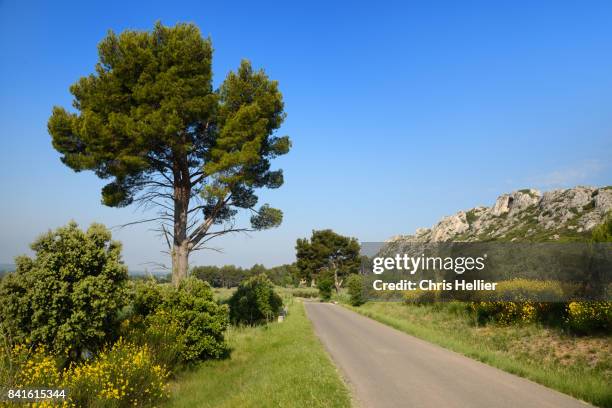 country road in the alpilles hills provence - les alpilles stockfoto's en -beelden