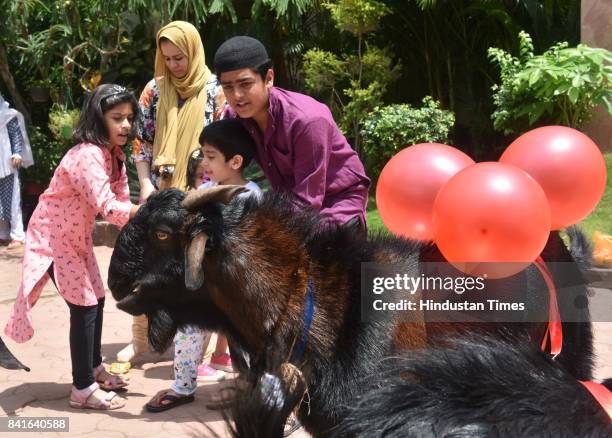 Muslim family preparing their goats on the eve of Eid al-Adha on September 1, 2017 in Bhopal, India. Muslims across the world are preparing to...