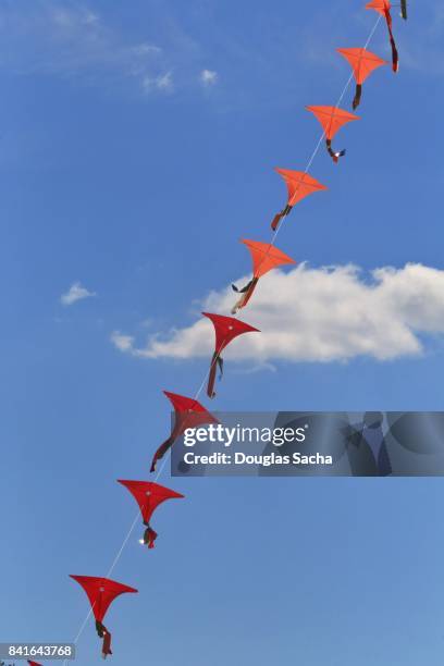 mass of long-tail snakes kites flying in the sky - chasing tail stock pictures, royalty-free photos & images