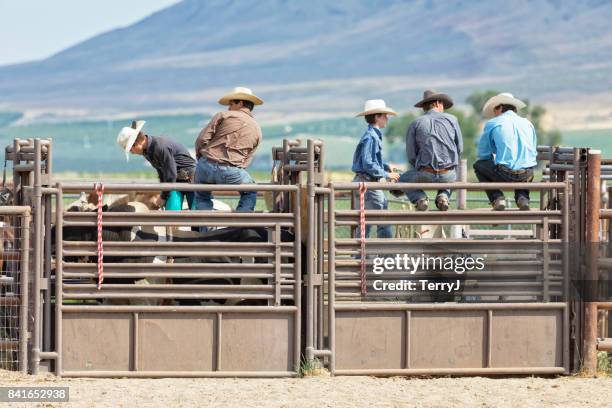 67 Bull Rider Gate Stock Photos, High-Res Pictures, and Images - Getty ...
