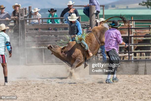 Watching Rodeo 6,239 Rodeo Women Stock Photos, High-Res Pictures, and Images - Getty ...