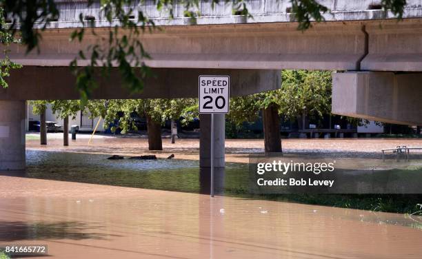The Brazos River on Highway 90A reaches record level due to rain fall off from Hurricane Harvey on September 1, 2017 in Richmond, Texas. Harvey,...