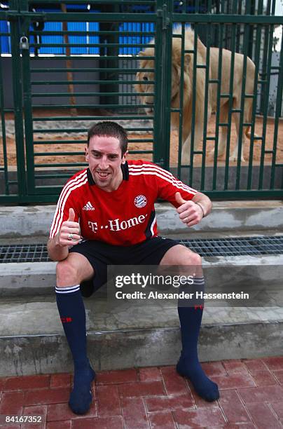 Franck Ribery of Bayern Muenchen visits the privat zoo of Sheik Hamand at the Zaabeel trainings ground after training session on January 4, 2009 in...