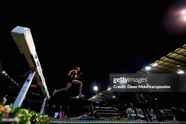 Evan Jager of the USA competes in the 3000m Steeplechase Men Final during the AG Memorial Van Damme Brussels as part of the IAAF Diamond League 2017...