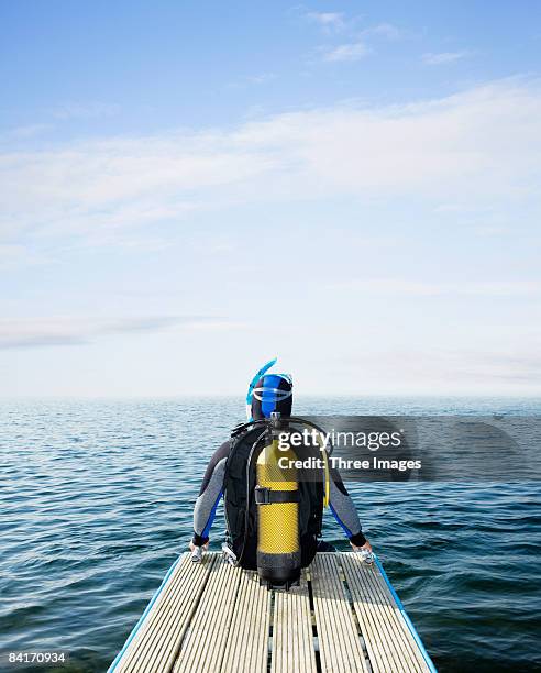 scuba diver looking out to sea - dykmask bildbanksfoton och bilder