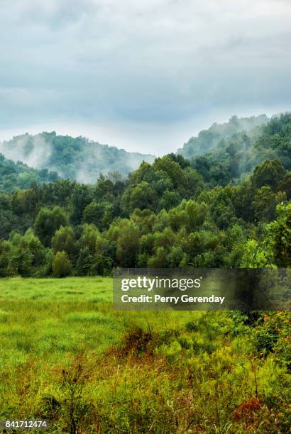 mist in the hills after a rain - tennessee hills stock pictures, royalty-free photos & images