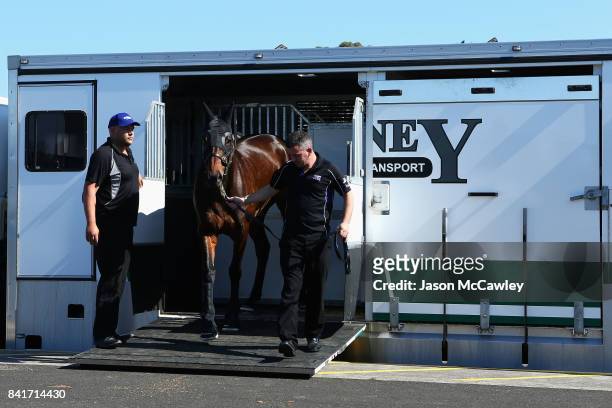 WInx arrives at Royal Randwick Racecourse prior to the Chelmsford Stakes on September 2, 2017 in Sydney, Australia.