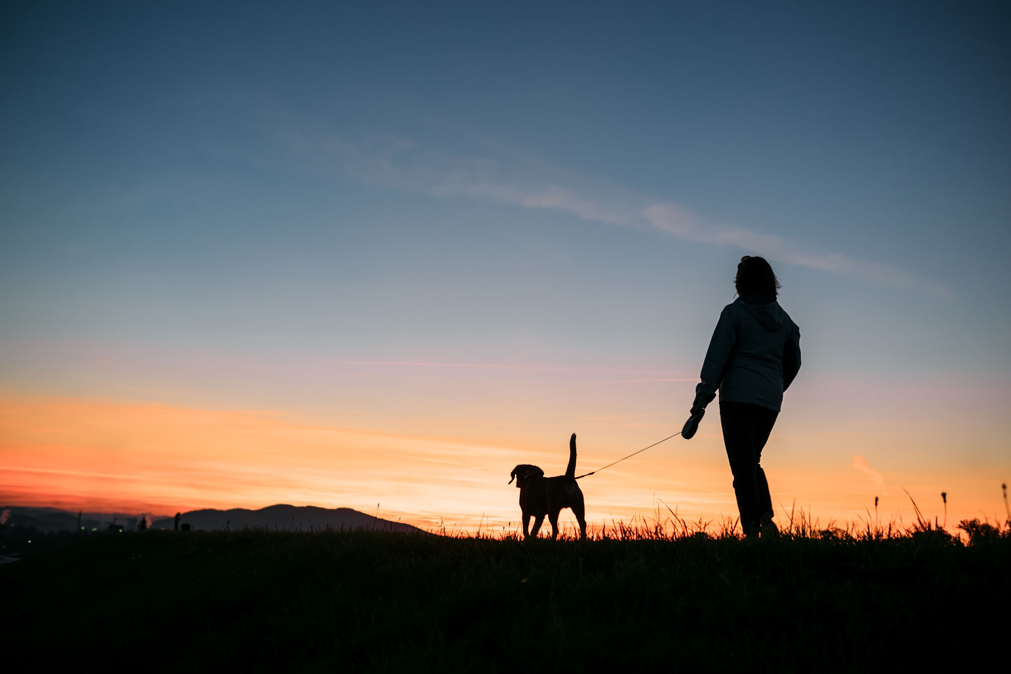 dog walker sunset